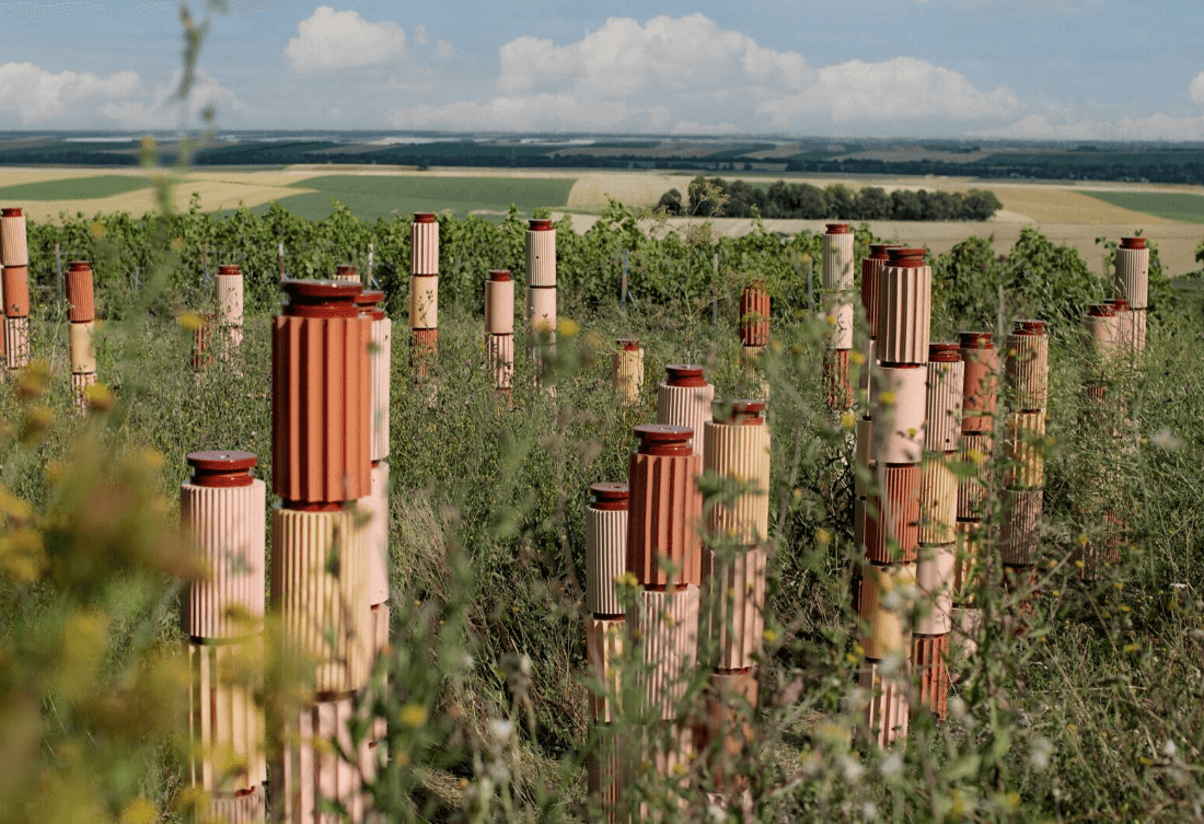 Formafantasma designers on creating a nature refuge in Champagne