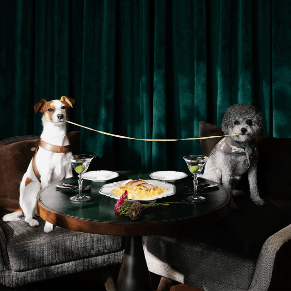 International Dog Day: 9 pet-friendly restaurants in Hong Kong