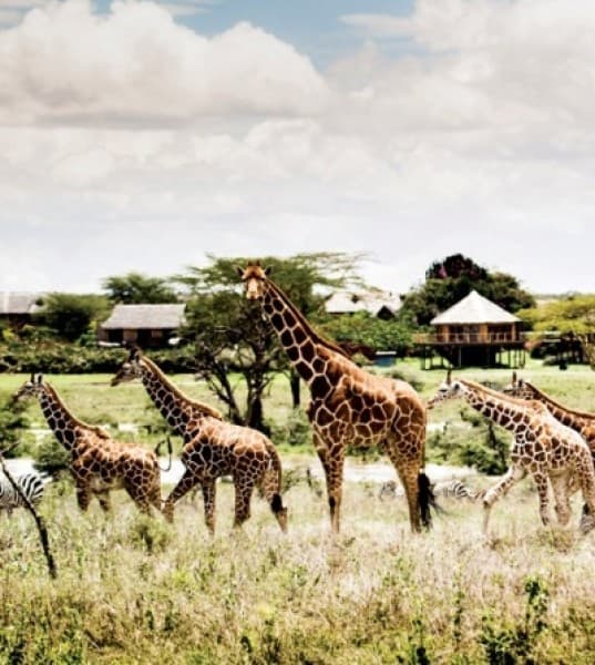 A Retreat Framed Under Kenya’s Picture-Perfect Skies