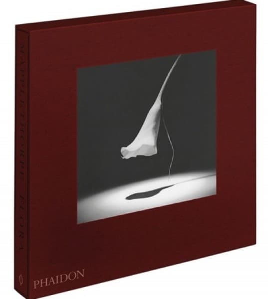 LACMA and Getty Showcase “Robert Mapplethorpe: The Perfect Medium”