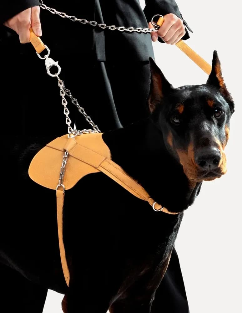 5 Cool luxury pet products, from dog harness to pet carrier, to sound in the New Year