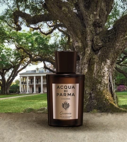 Men’s Fragrances That Are All About That Base