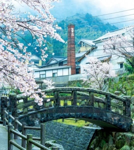 A Food Lover’s Guide to Fukuoka
