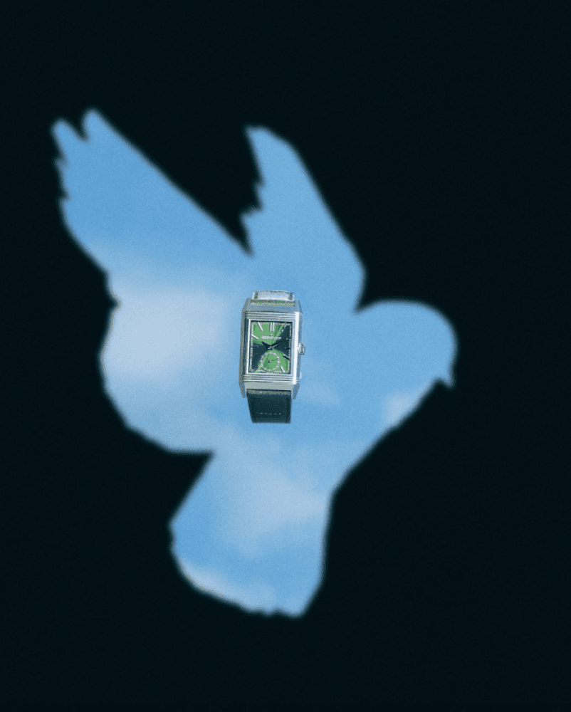 Watch shoot: The wings of time