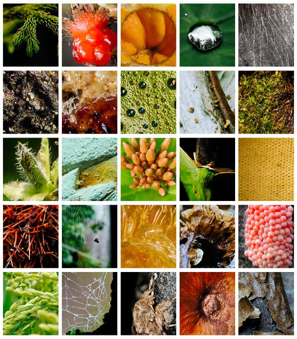 100 takes: The π lens