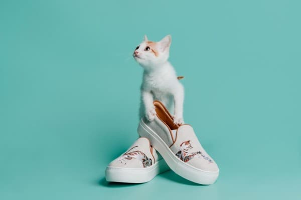 For cat lovers out there – Shanghai Tang’s campaign is one you’d want to support
