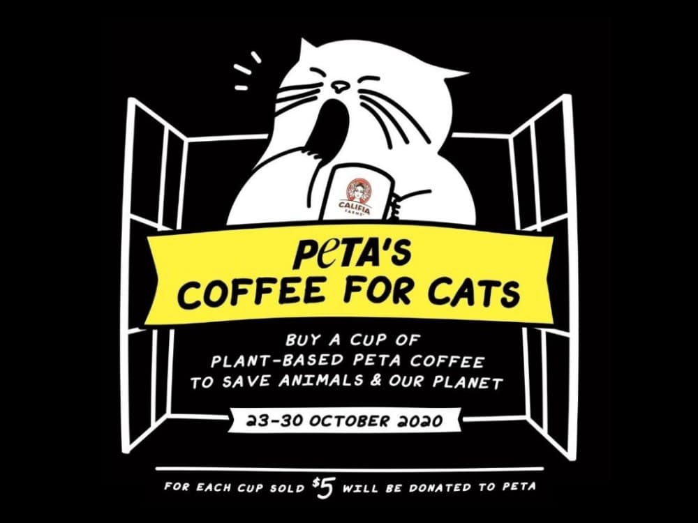 Coffee for cats: A purrfect collaboration between PETA and Green Monday