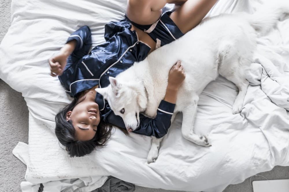 Silk pajamas are having a moment – here are the best brands to slip into