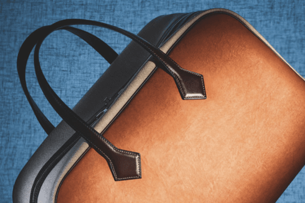 Hermès to release mushroom-based ‘leather’ bag with MycoWorks