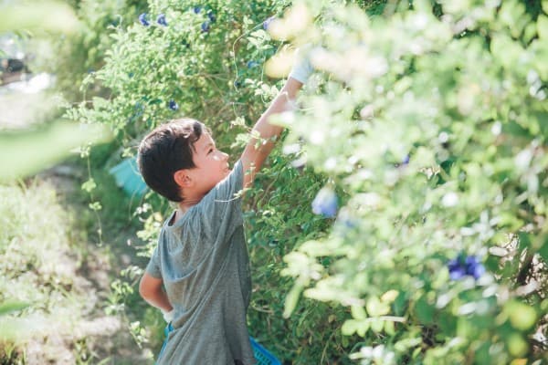 Marriott’s farm-to-table staycation elevates luxury dining with local produce