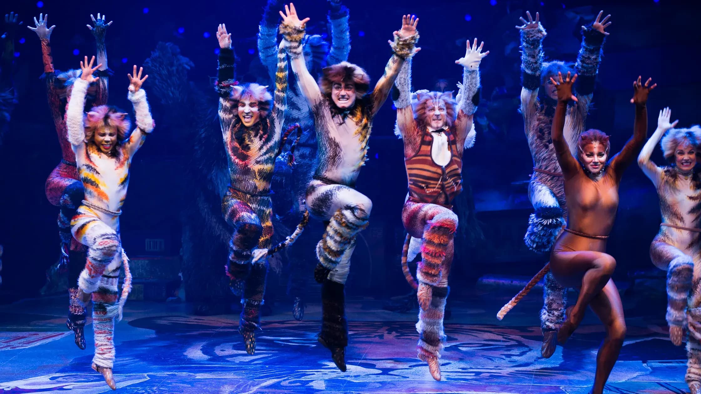 Fun facts to know before watching “Cats” the musical