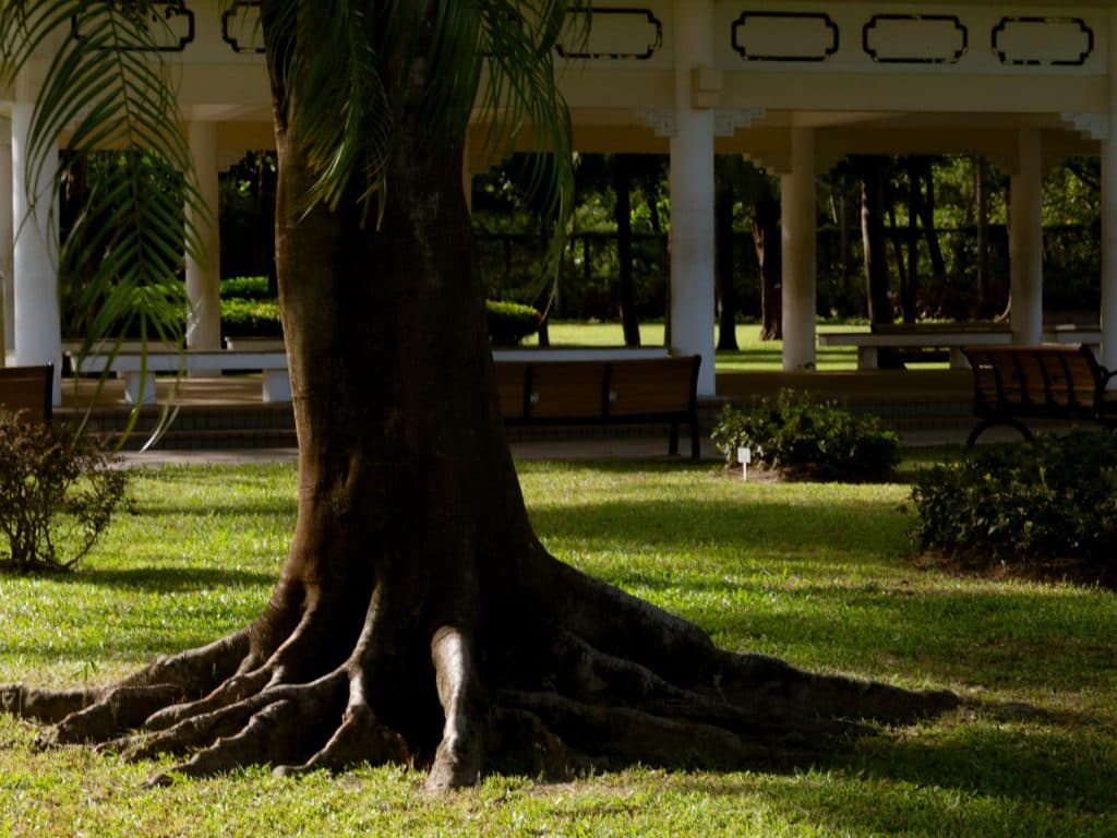 untitled96-1024x768.jpg