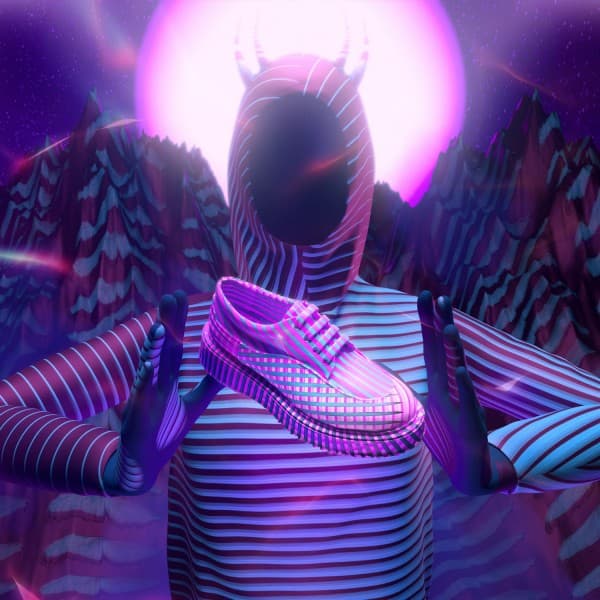 Hogan delivers untraditional NFT collection