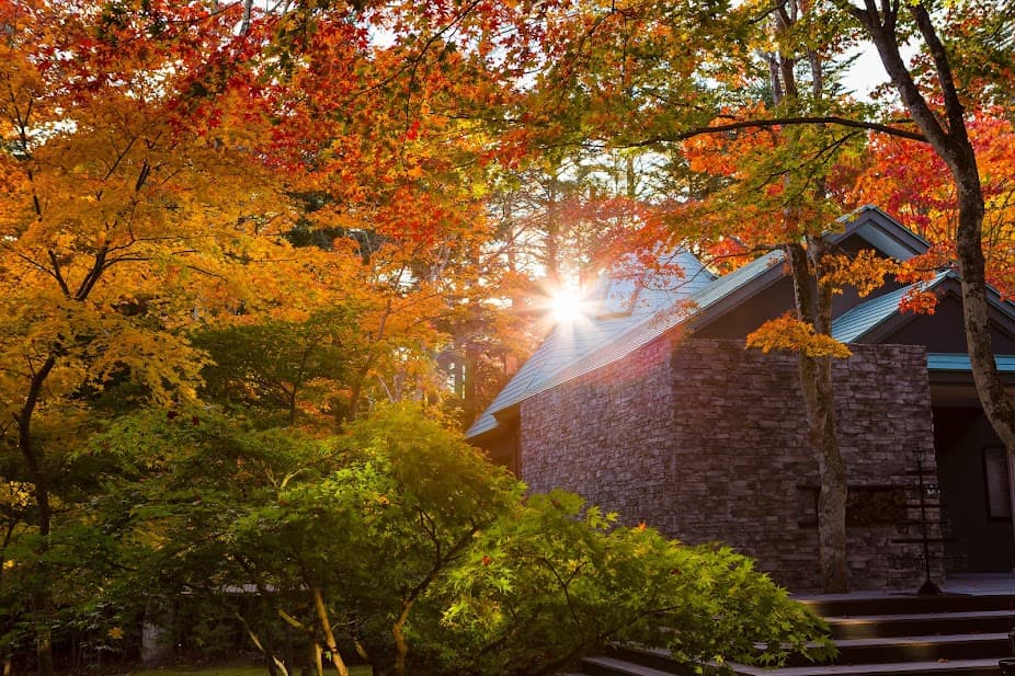 Hilton Hotels & Resorts: Immerse in the seasons, flavours and spirit of Japan