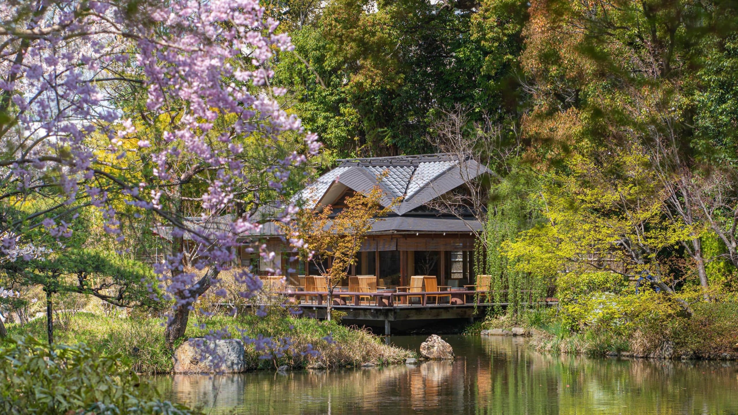 Where to stay in Japan this cherry blossom season