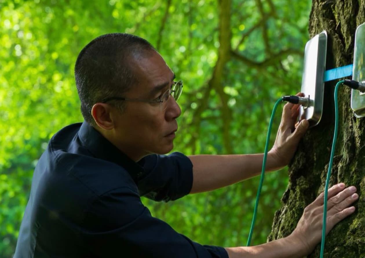 The films, faces and highlights to know at HKIFF50