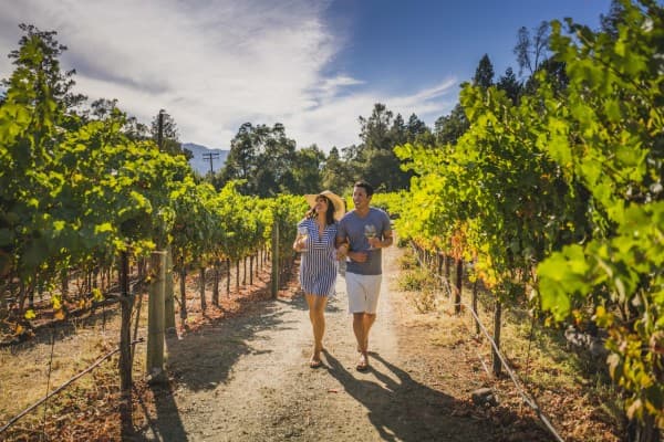 The California dream, diversifying Hong Kong’s million-dollar wine market
