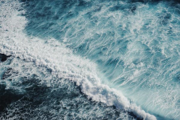 World Oceans Day 2021: Celebrate ‘The Ocean: Life and Livelihoods’ online