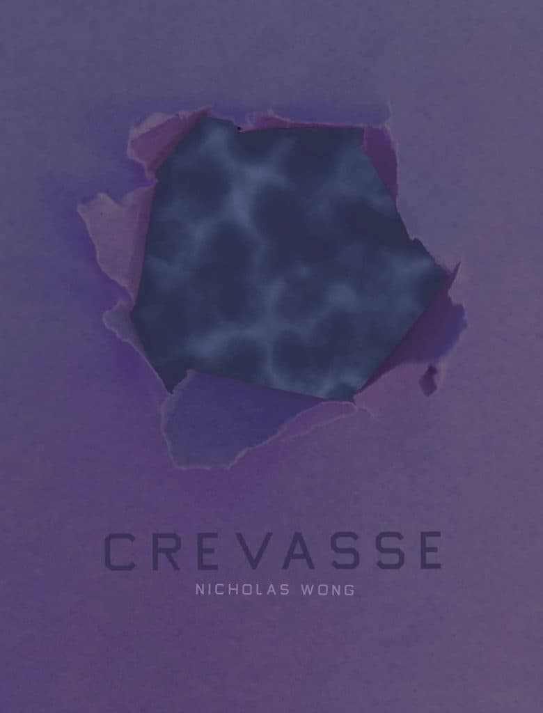 Birdsong-Crevasse-by-Nicholas-Wong-780x1024.jpeg